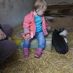 Bio-erlebnisbauernhof Doll *